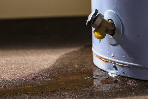 Best Sewage cleanup and water damage restoration  in Huntsville, TX