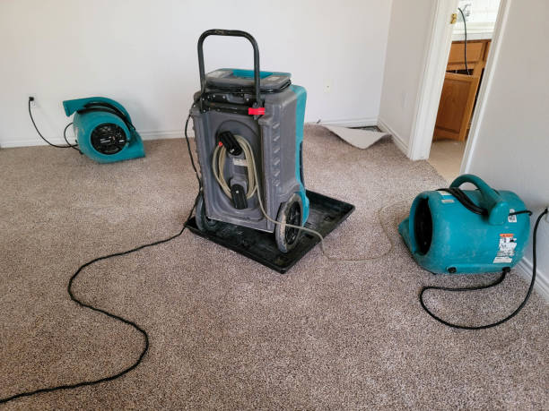 Best Flood restoration services  in Huntsville, TX