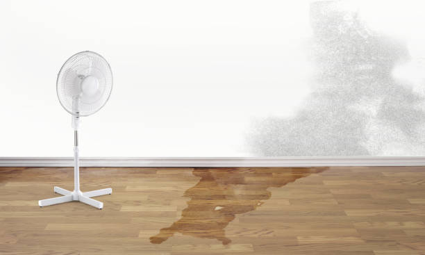 Best Water damage restoration near me  in Huntsville, TX