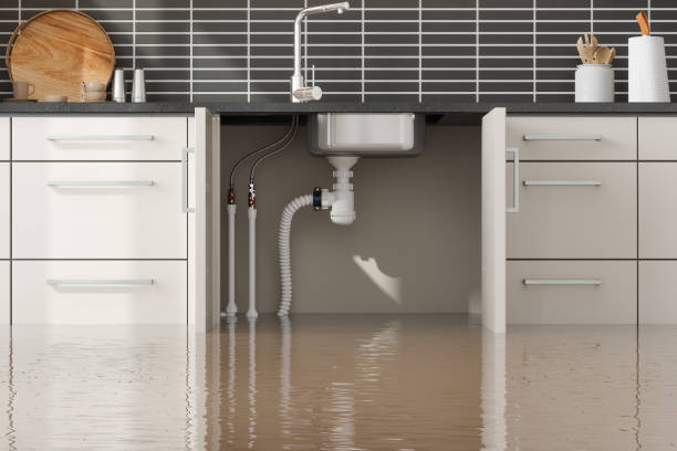 Best Basement water damage restoration  in Huntsville, TX