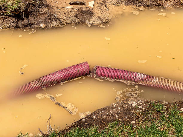 Best Residential water damage restoration  in Huntsville, TX